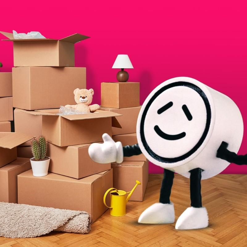 Winky moving house with boxes in the background